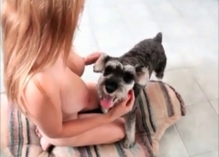 Tight pussy for a small dog wiener