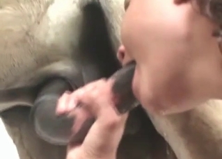 Fantastic BJ for a horny stallion