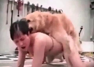 Dog fucking two bitches at once