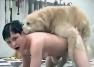 Dog fucking two bitches at once