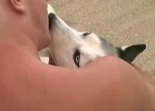 Sloppy BJ for a white husky