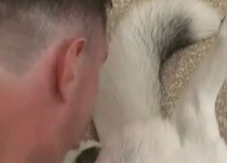 Sloppy BJ for a white husky