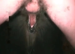 Black mustang railed by a big-dicked dude
