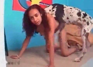 Black chick and a Dalmatian