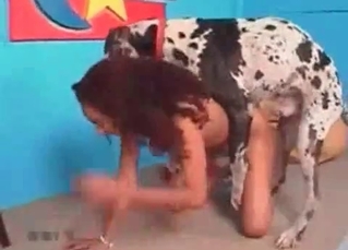 Black chick and a Dalmatian
