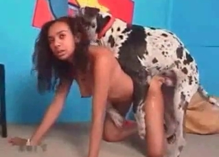 Black chick and a Dalmatian