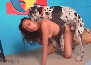 Black chick and a Dalmatian