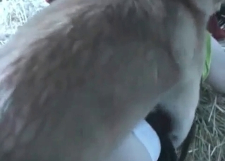 MILF loves animal dicks