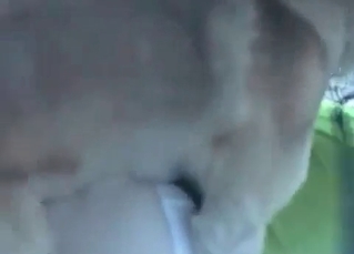 MILF loves animal dicks