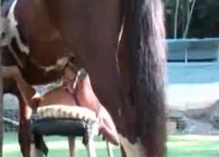 Kinky girl gets the jizz from horse
