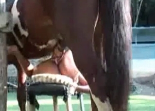 Kinky girl gets the jizz from horse