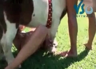 Mare fucking outdoors with all its might