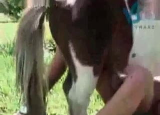Mare fucking outdoors with all its might