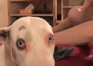 HQ zoo porn with a hardcore twist