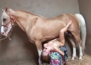 Hung horse in a fantastic video