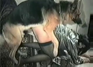 Depraved animalistic sex shown up close