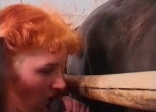 Two sluts playing around with a horny horse