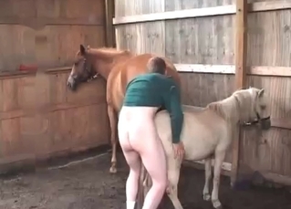 Kinky pony has something in mind