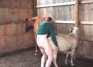 Kinky pony has something in mind