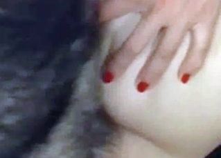 Dog fucking an exquisite lady