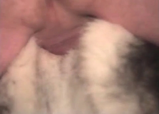 Husky being the real MVP here