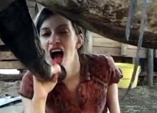 Magical blowjob for a horse