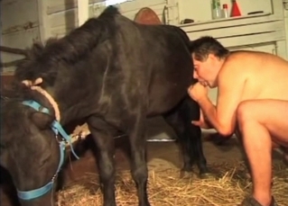 Dude enjoying this horse cock in his mouth
