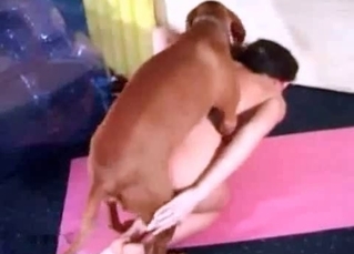 Intense boxer fucking