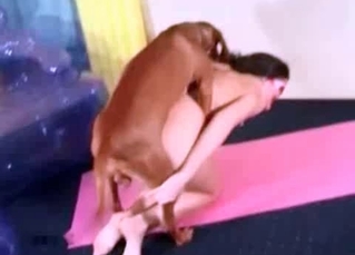 Intense boxer fucking