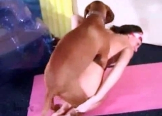 Intense boxer fucking