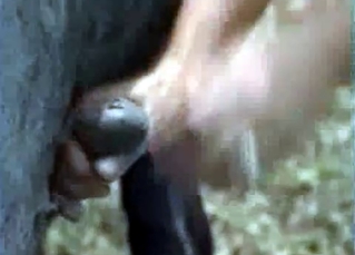 Fantastic outdoors animal fucking