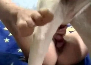Incredibly passionate little doggy