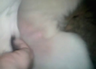 This dog loves fucking
