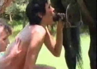 Filly fucked by studs
