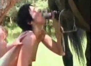 Filly fucked by studs