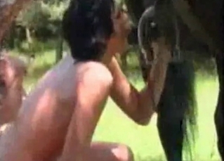 Filly fucked by studs