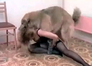 Goofy shepherd goofing off with a hottie