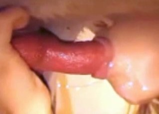 Juicy dog cock sucked