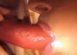 Juicy dog cock sucked