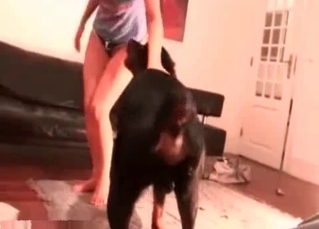 Cunt abused by a mongrel