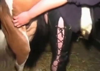 Horse brutally fucking a blonde