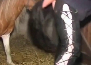 Horse brutally fucking a blonde