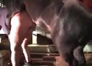 Amazing horse fucking action