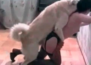 Stockings slut and a hound