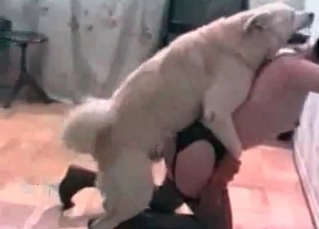 Stockings slut and a hound