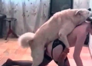 Stockings slut and a hound