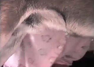 Tight cunt drilled by a dog