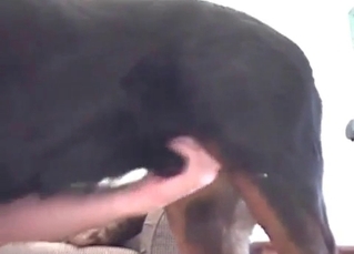 Horny owner fucked by a dog