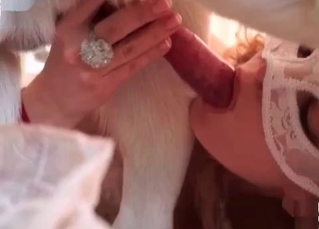 Crazy hot bitch loves animals