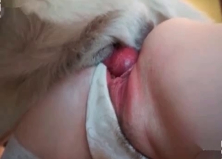Crazy hot bitch loves animals